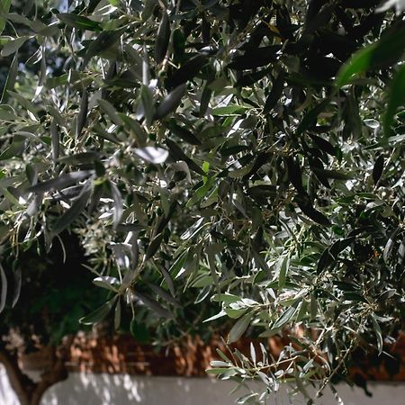 Villa Kala Loutraki - Private Pool & Sauna I Beach المظهر الخارجي الصورة
